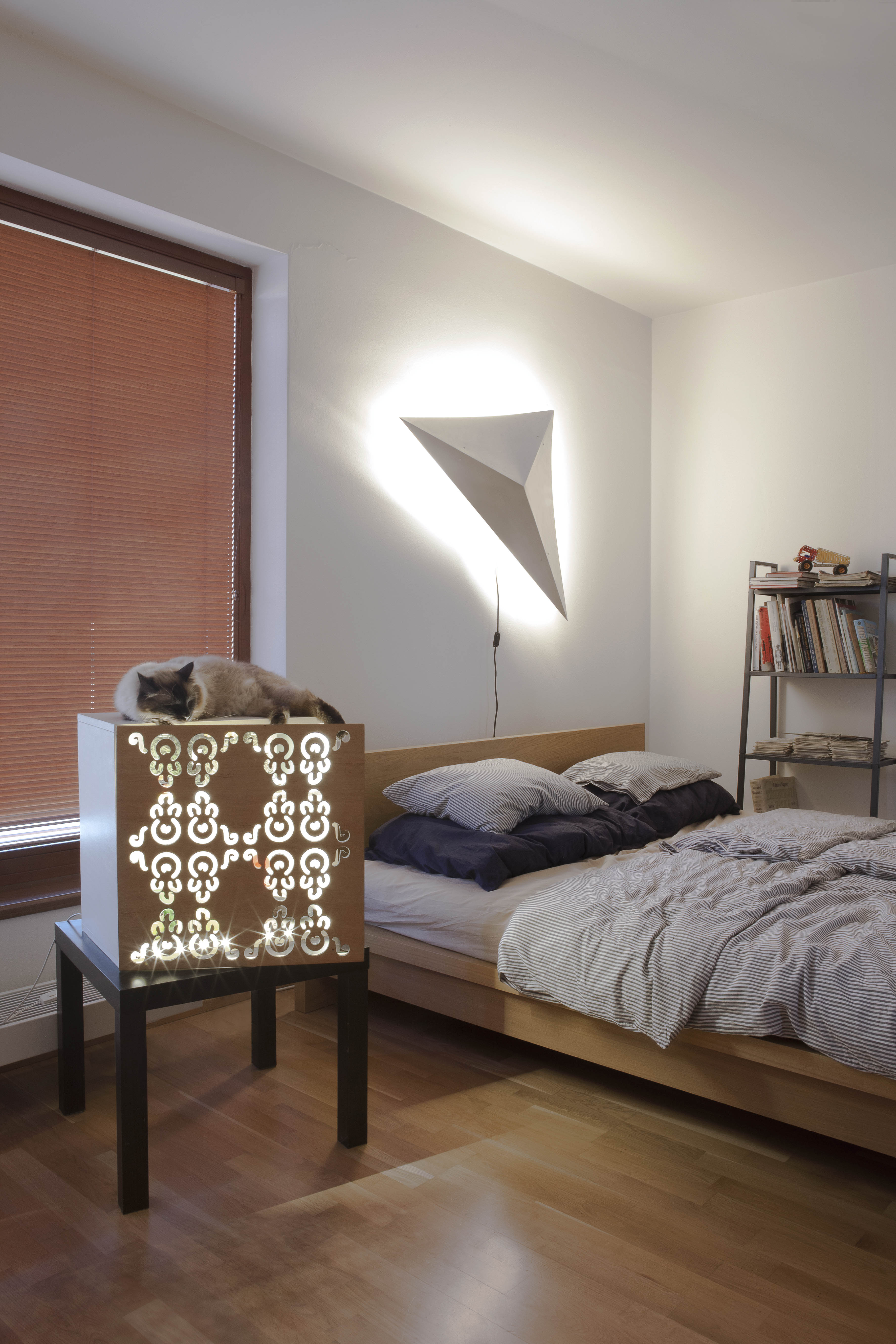 folk_projekt + polygon